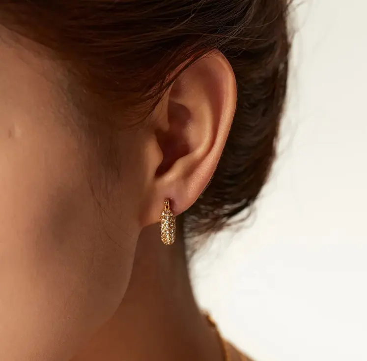 18K Cubic Zircon Circle Hoop Earrings