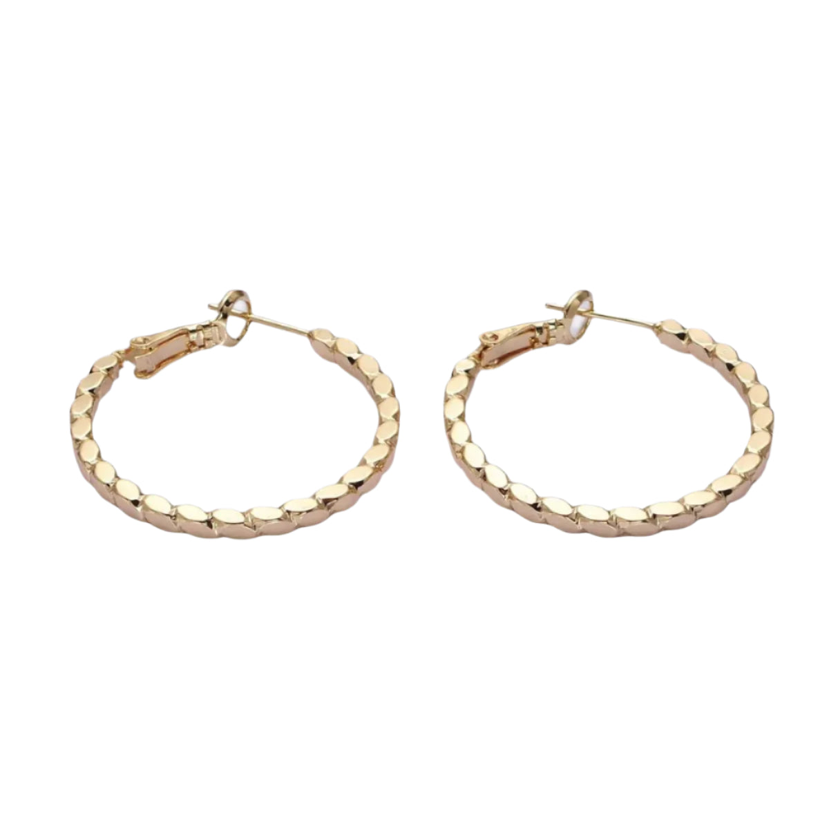 Oval Lined Hoops in 16K Gold-Filled or Silver