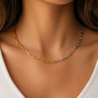 Two Tone Paper Clip Chain Necklace